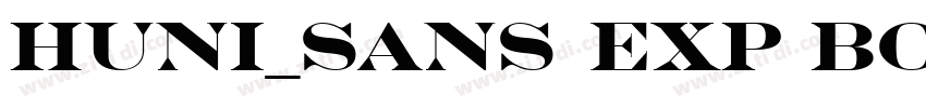 Huni_Sans Exp Bold R字体转换